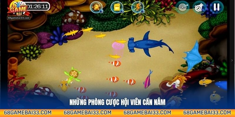 Những phòng cược hội viên cần nắm